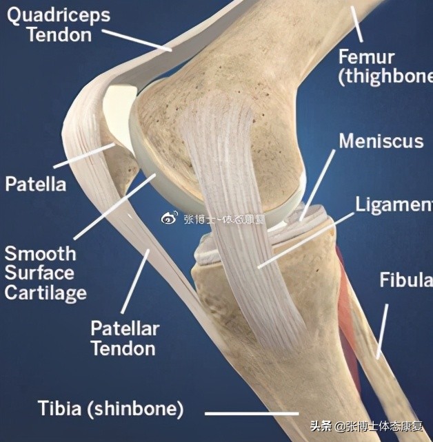运动康复膝关节疼痛解决,下髌骨关节疼痛综合征