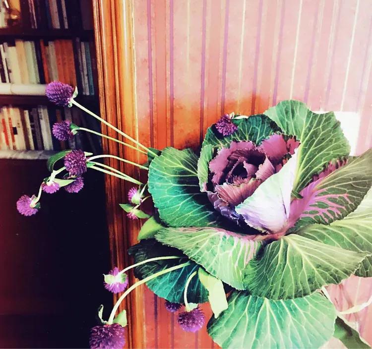 沄智教育:被“情绪”捆住啦