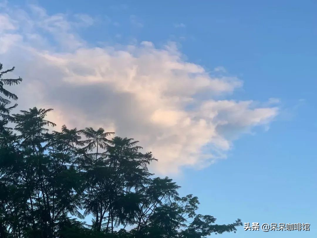 你不知道的制造业暴利行业,制造业行业内幕大揭秘