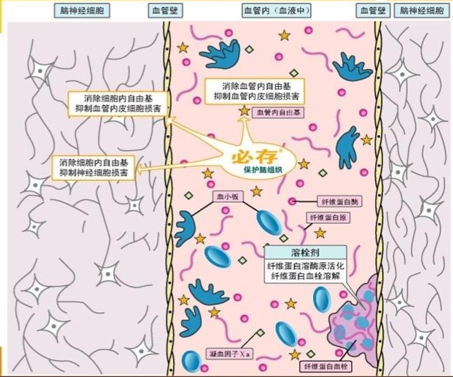 黑枸杞泡出来是黄褐色为什么,黑枸杞特别干怎么回事