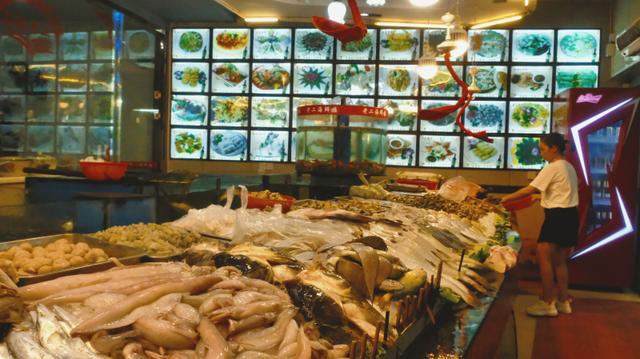 福鼎旅游数据,福鼎纪录片