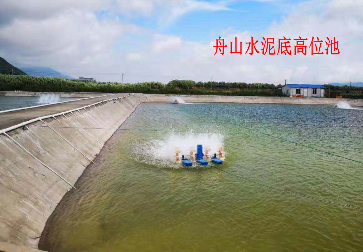 高位池养虾是什么意思,高位池养虾自动排污设计图