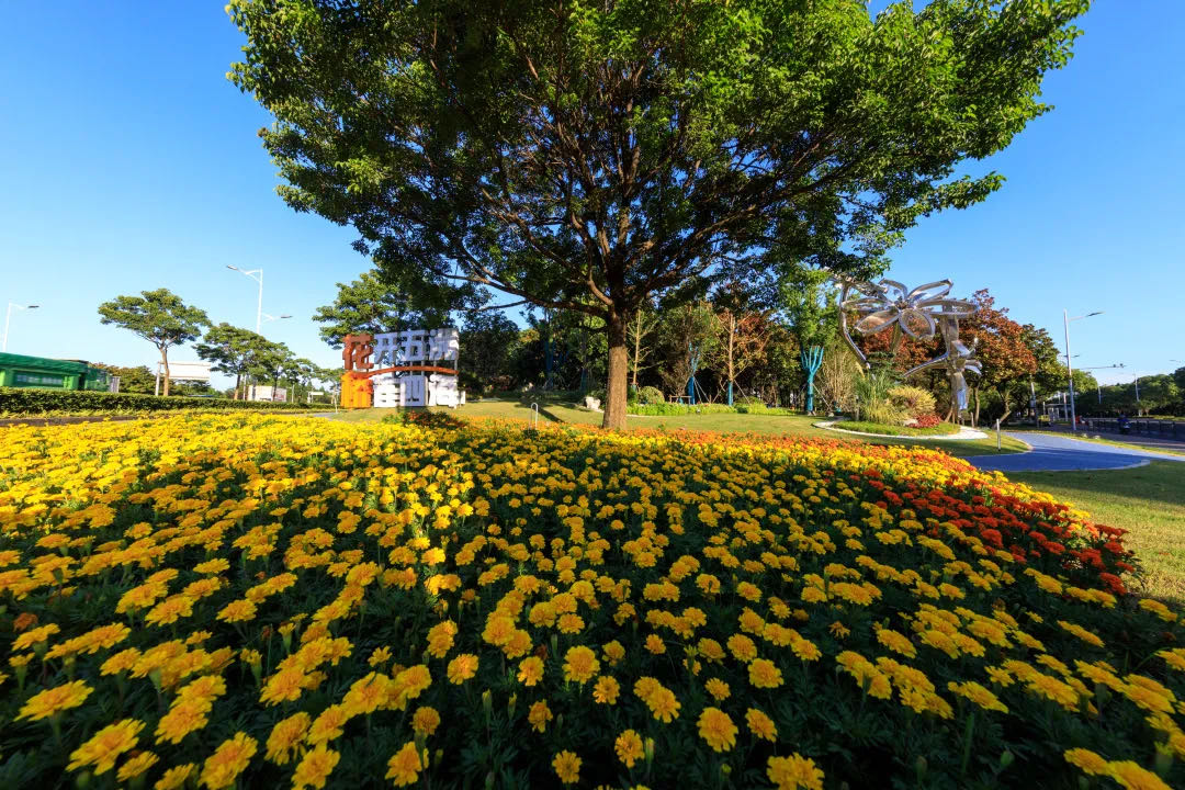 花桥2室二手房,花桥绿地启航社二手房价