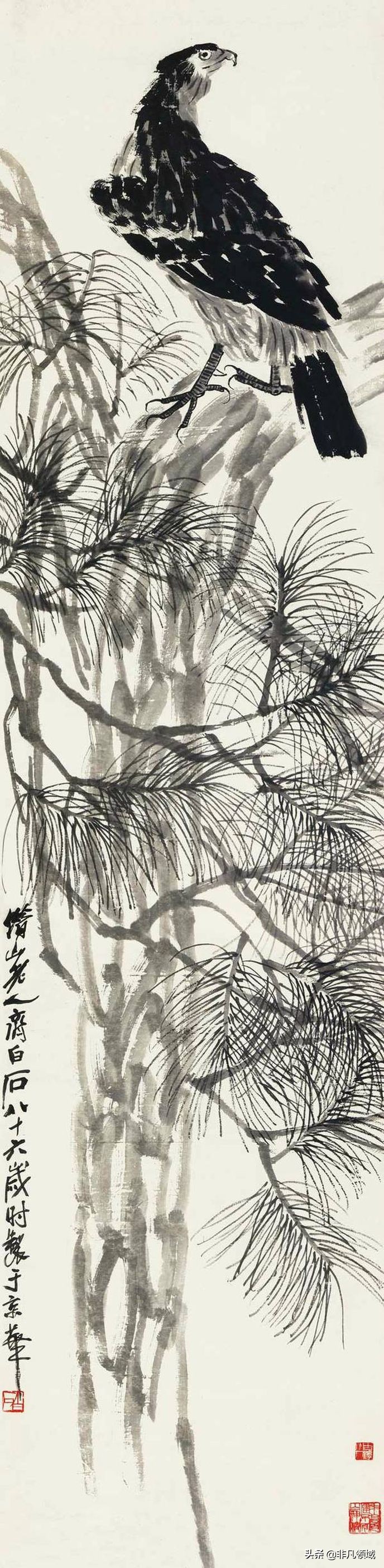 中国画名家画鹰作品,中国画画鹰