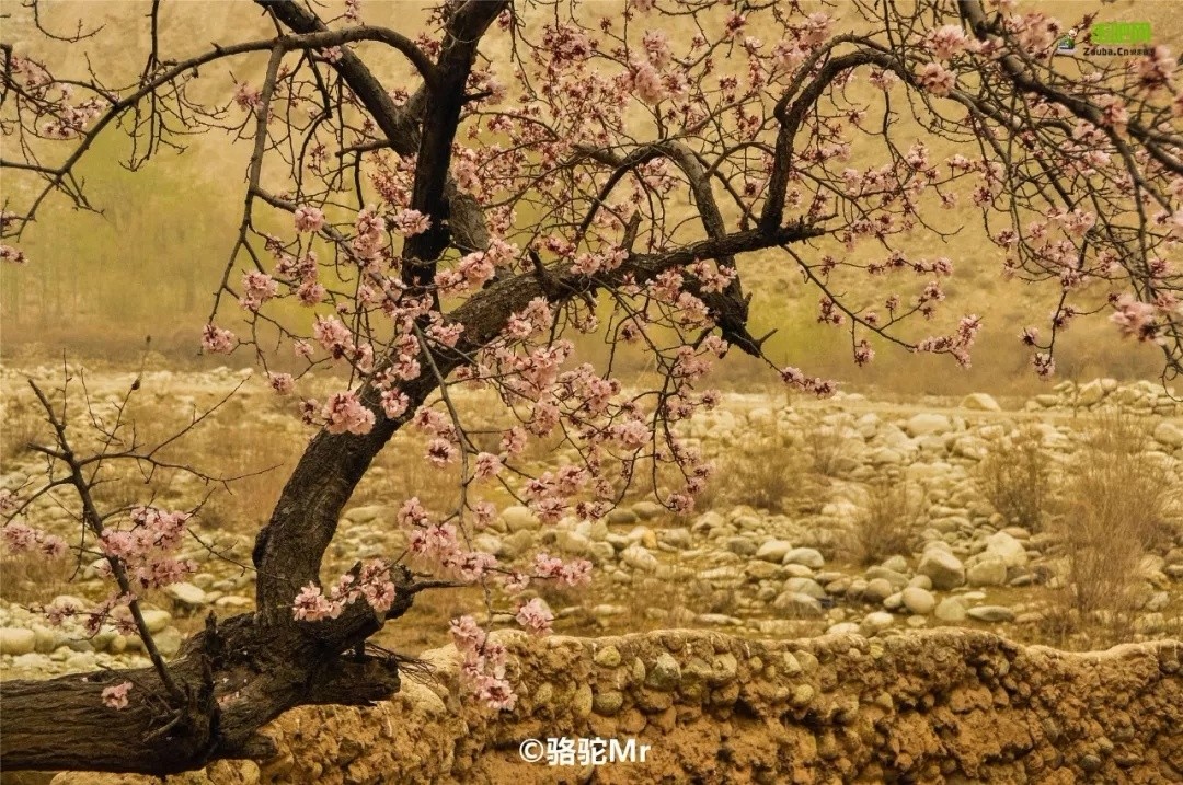 你永远不会体会到*疆新**公路的风情万种,除非你亲自自驾到那里!