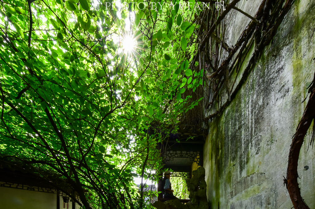 苏州最小的园林500平,苏州十大名园排名