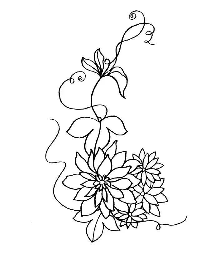 高级线描画花卉大全,花卉线描100种