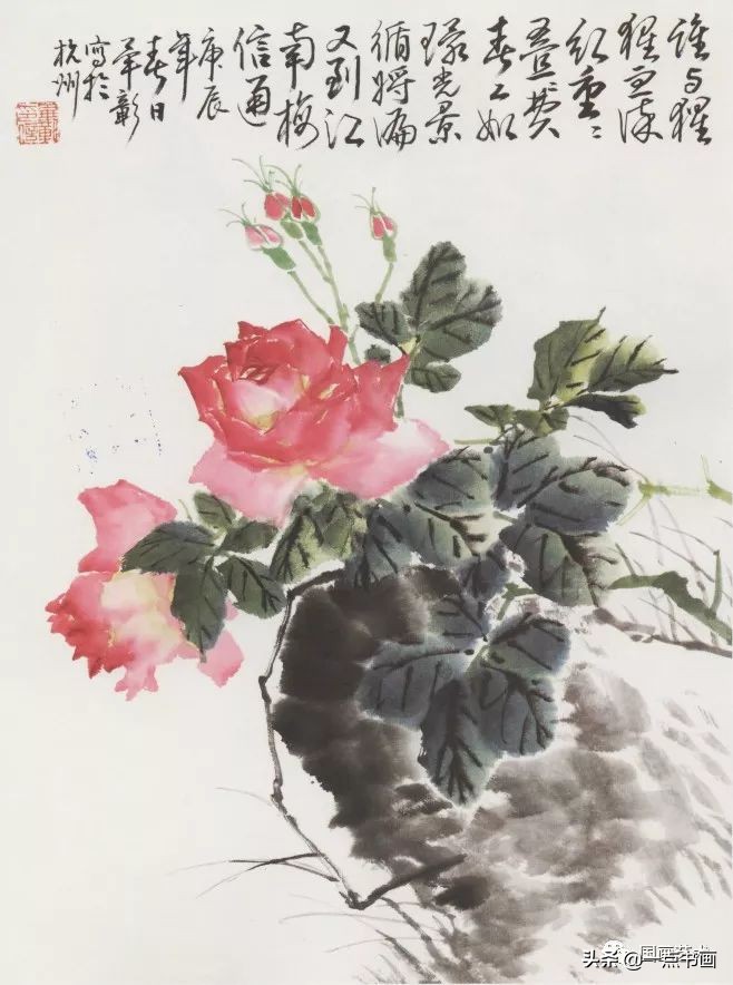 写意花鸟临本——月季画法