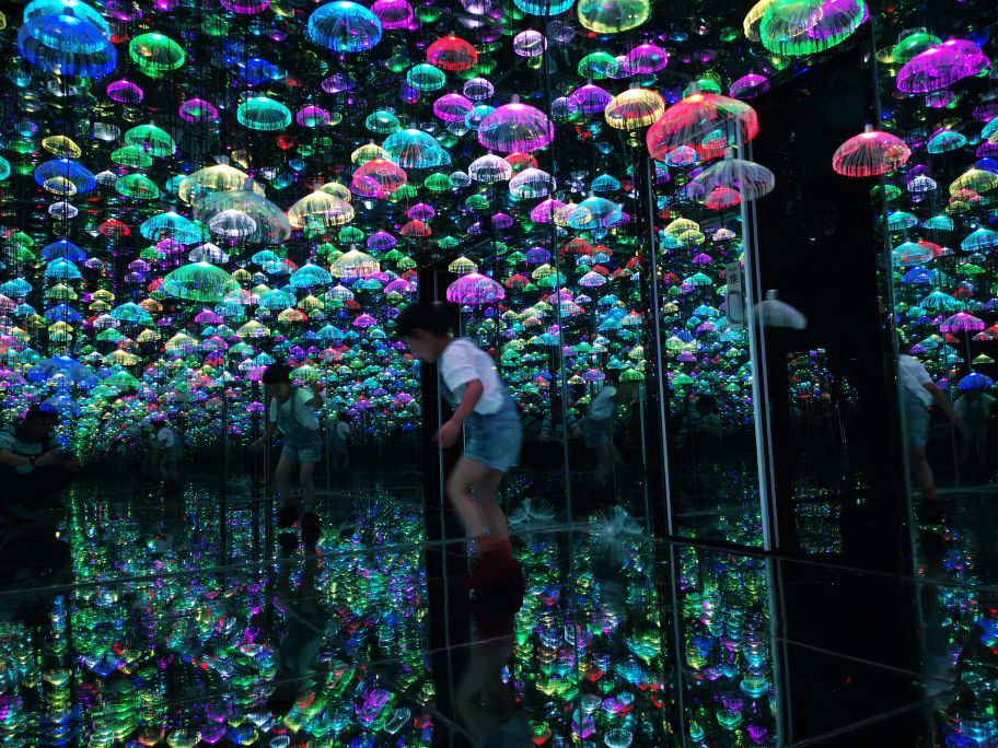 昆明自然乐乐园在哪里,昆明自然乐游乐园丛林飞跃