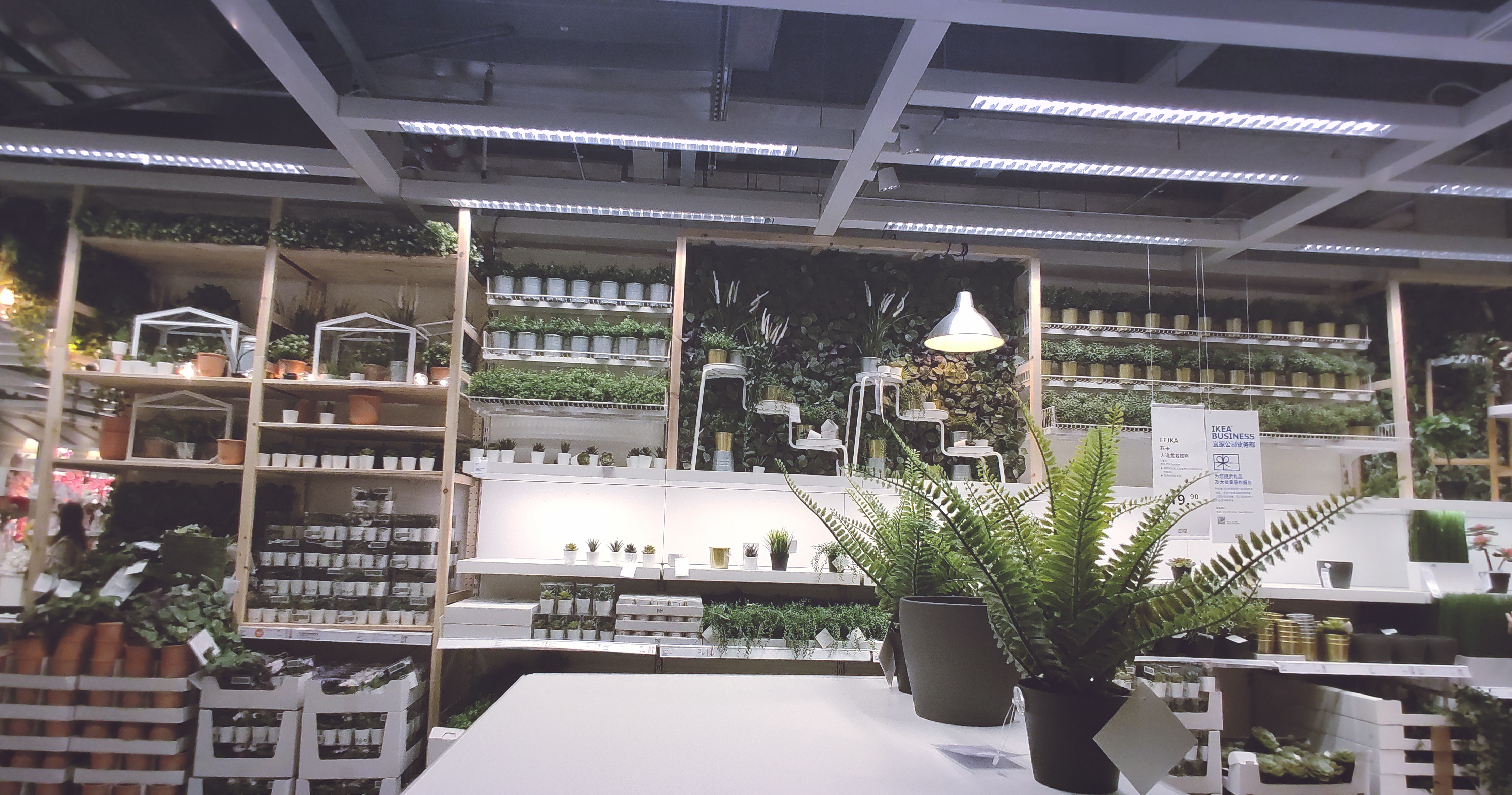 郑州宜家有什么值得购买的东西 (郑州宜家现在值得买吗)