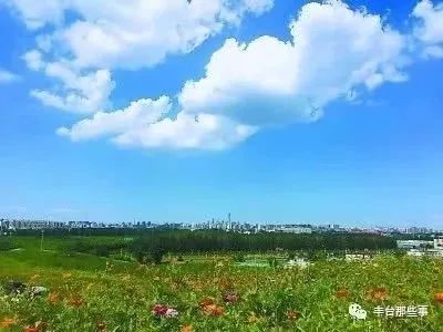 北京东五环新建公园大全,北京新开40个公园详细位置公布