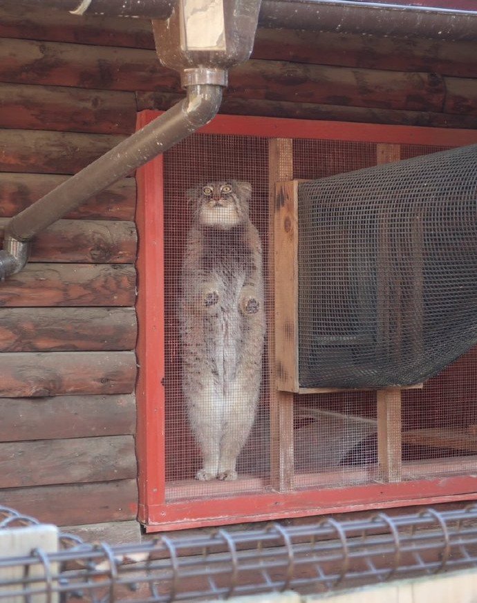 有纱窗为什么家里总有蚊子,有防盗网的房间窗户防蚊纱窗