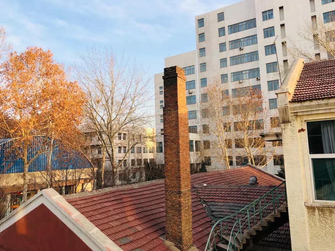 山东科技大学，不再见！