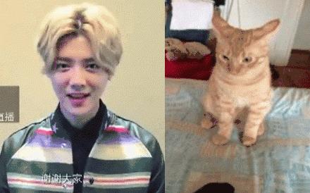 湖北38座城市公园数量排名,湖北有多少园林城市