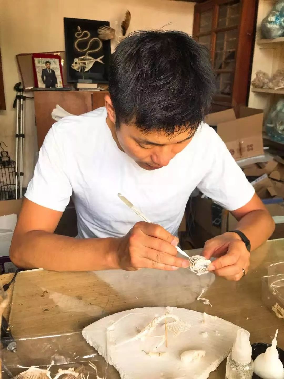 捡的动物尸体做标本收藏,现场解剖动物尸体