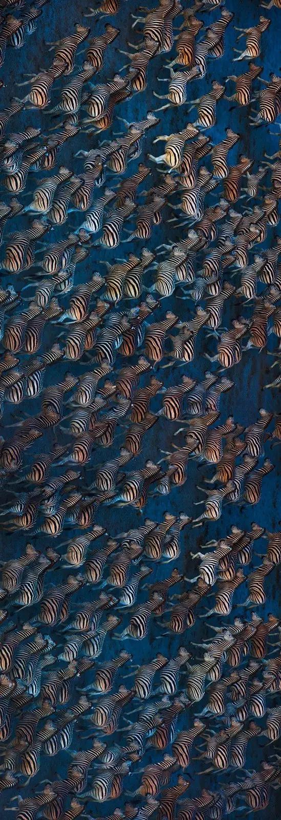 好利来算不算小蛋糕,好利来蛋糕地位