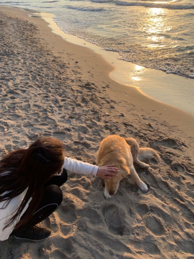 花样姐姐第一季景点,花样姐姐土耳其伊斯坦布尔