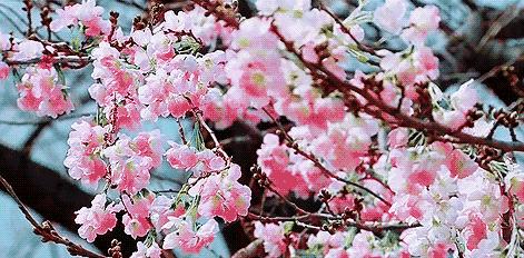 适合夏天好闻的沐浴露,夏季清爽不油腻留香沐浴露