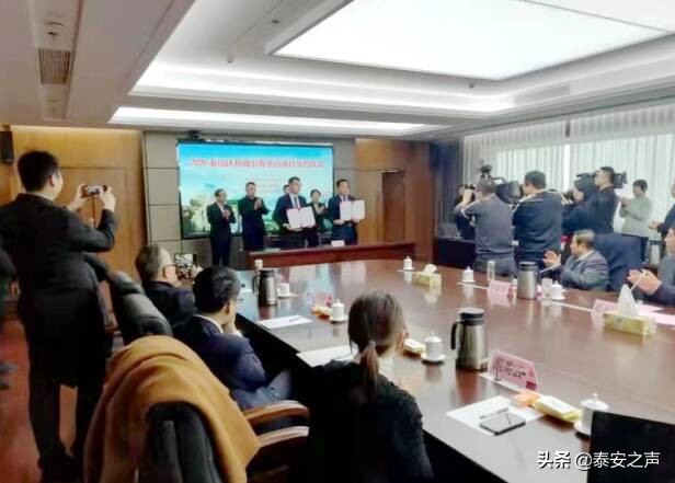 泰山区梯次培育打造特色产业集群,泰山区瘦身塑形