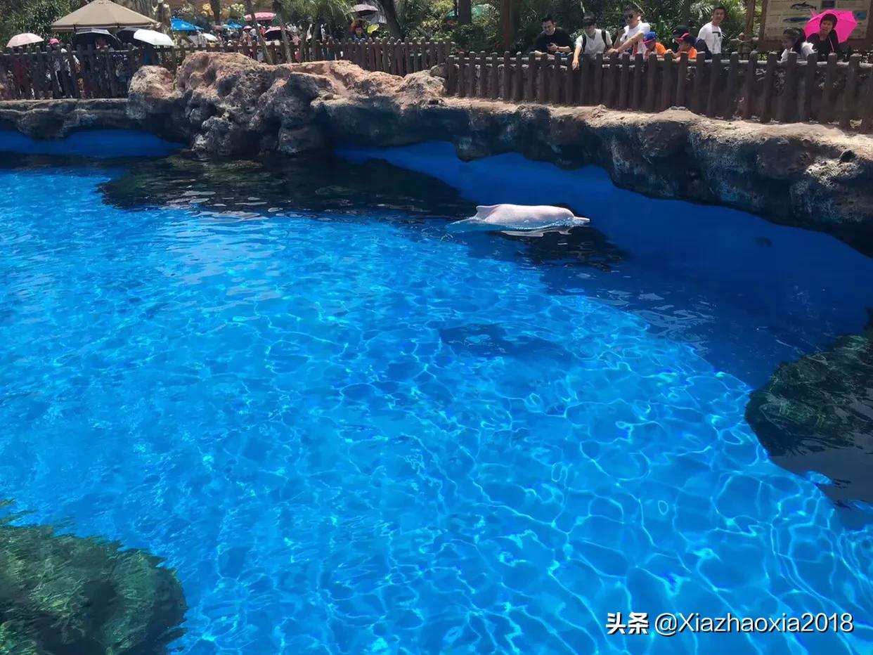 珠海长隆海洋王国一日游攻略路线,珠海长隆海洋王国一日游攻略图文
