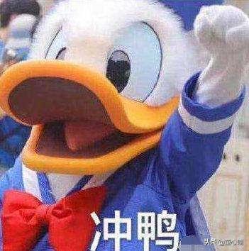 海淘攻略完整版,海淘购物攻略小白教程