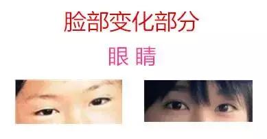 长泽雅美新垣结衣水原希子,水原希子最新造型