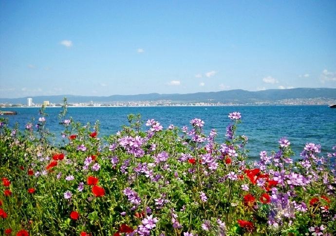 馨香的玫瑰,玫瑰之国保加利亚