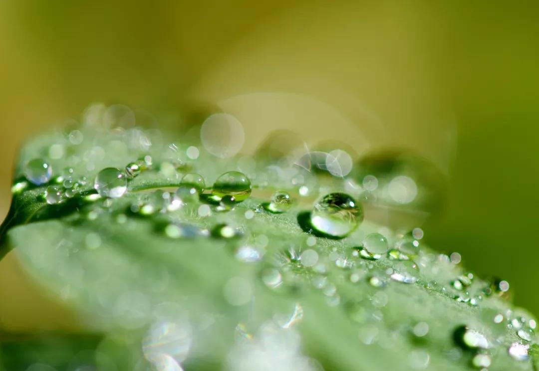 人生唯有自渡朗读,人生苦短请为自己而活朗诵