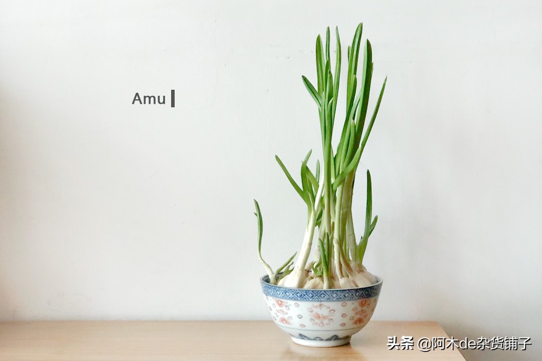 灏忓煄鏁呬簨鎶楃柅,灏忓煄鏁呬簨鐤儏鍔犳补瑙嗛