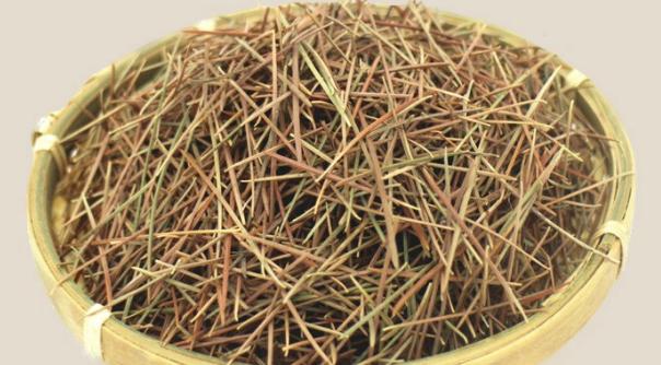 干松针可以垫盆底养花吗,养花干松针好还是鲜松针好