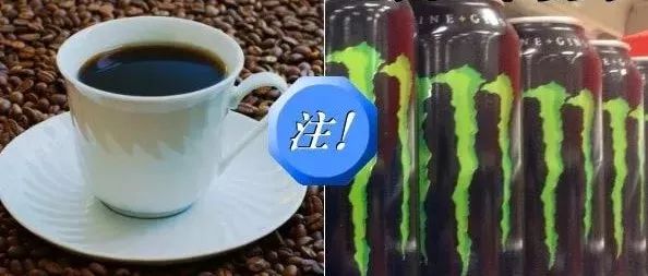 对猫有毒的植物气味也不能闻吗,对猫有毒的食物