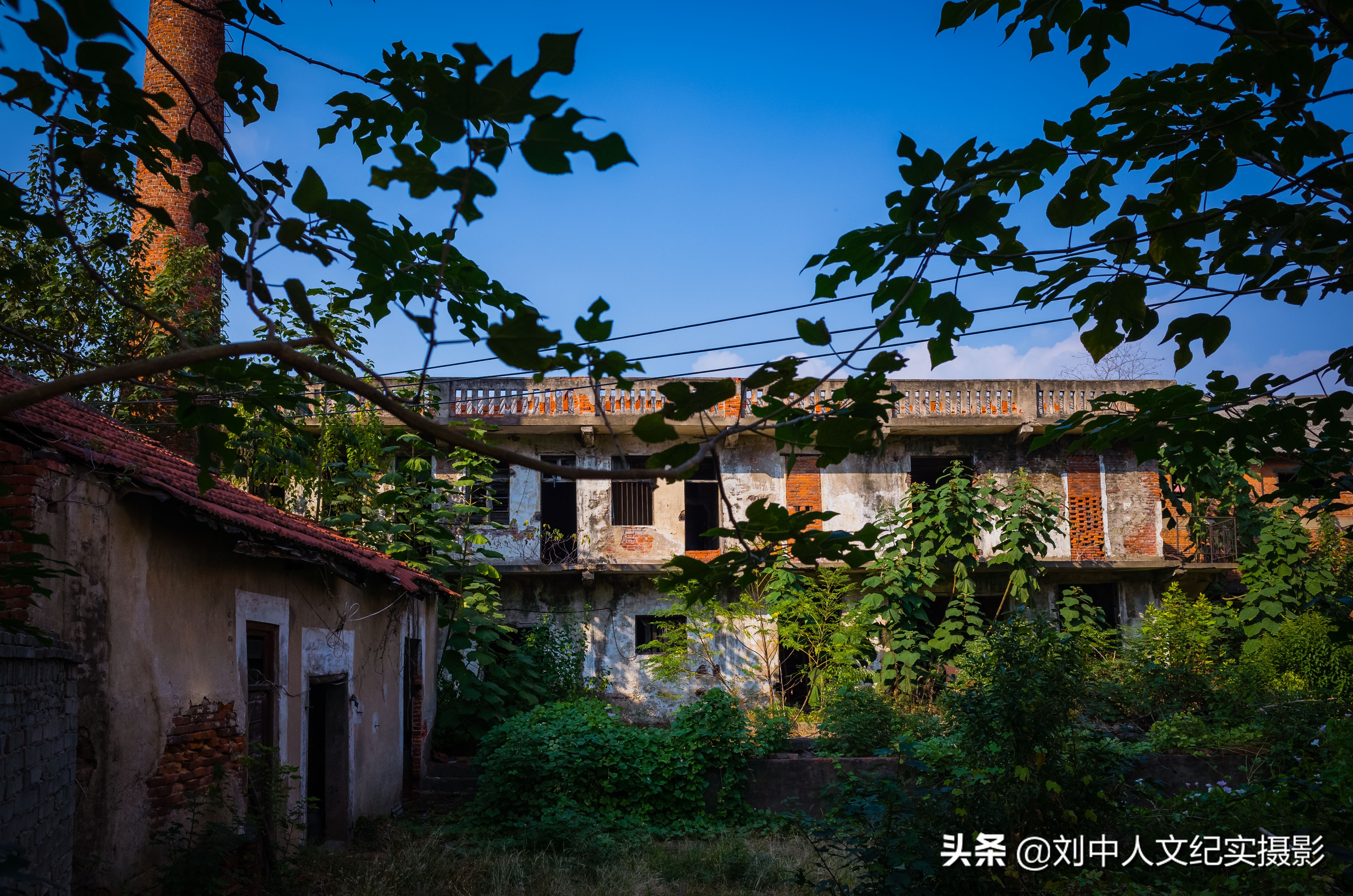 李家集云雾山,黄陂区李家集云雾山