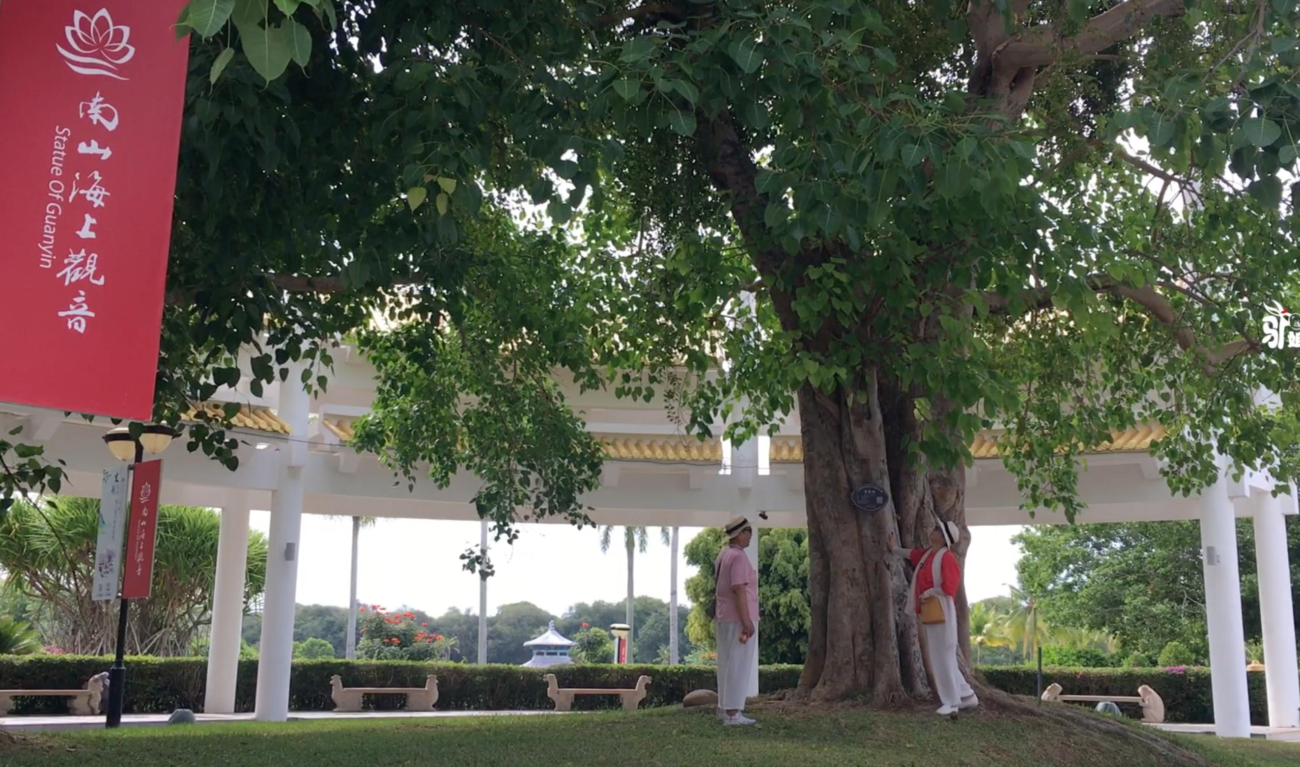 海南三亚海上观音朝拜记录,朝拜南海观音攻略