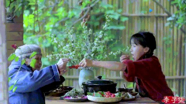 李子柒视频转场技巧,李子柒拍摄视频技巧