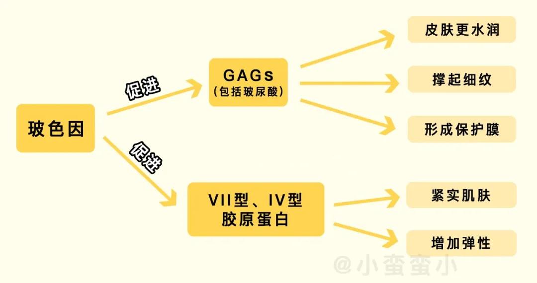 抗老全攻略20岁女生就不用抗老吗,不同年龄阶段抗老攻略