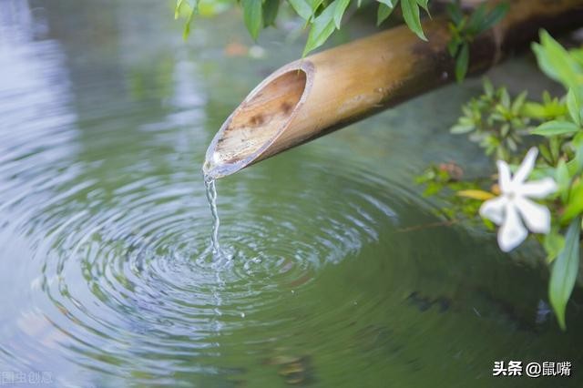 诗经静女原文及译文,诗经原文及注释八下