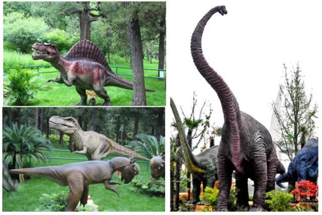 深圳周末小众好去处,深圳大鹏小众旅游景点