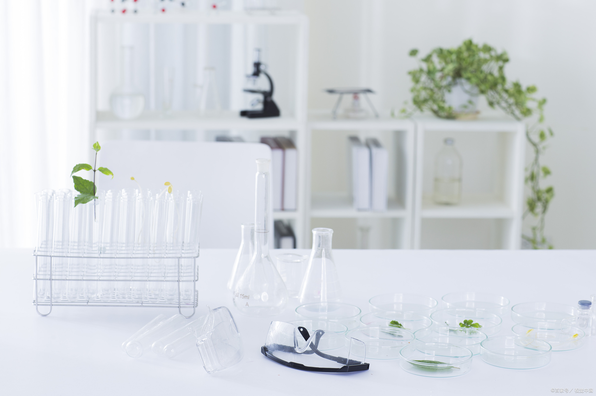 超超把自己的手指划破,吃离魂草,尝试手指是否有自愈作用