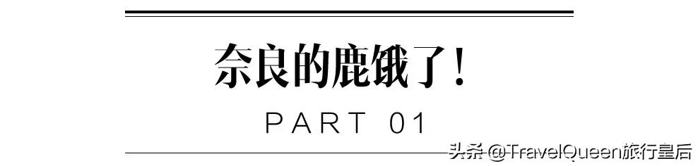 如果没有中国游客,世界该有多无聊