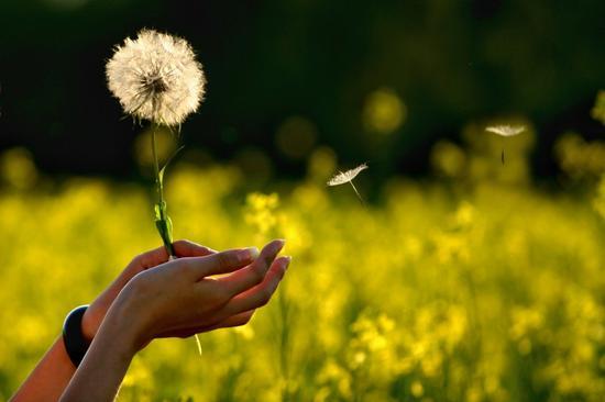 自我疗愈自我认可的心理书籍,适合自我心理治疗的书