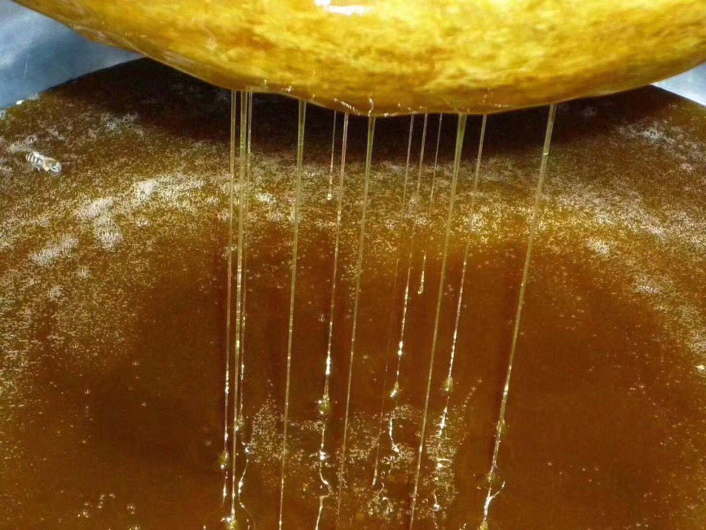 什么叫土蜂蜜和意蜂蜜,啥是土蜂蜜