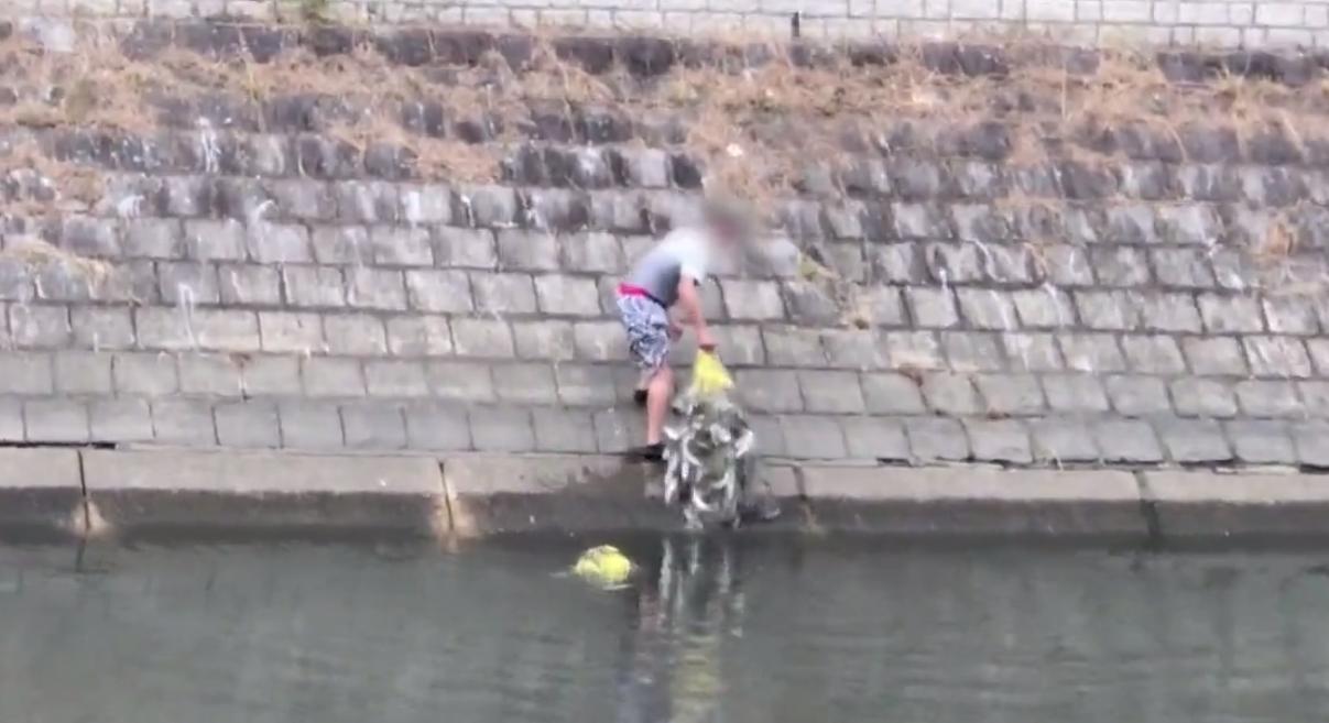 淡水乌头鱼为什么没人吃,野生乌头鱼为什么难吃