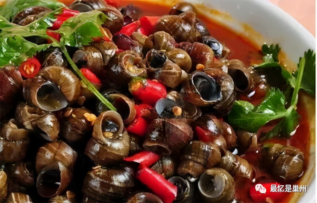 巢湖烔炀河往事,烔炀河老家