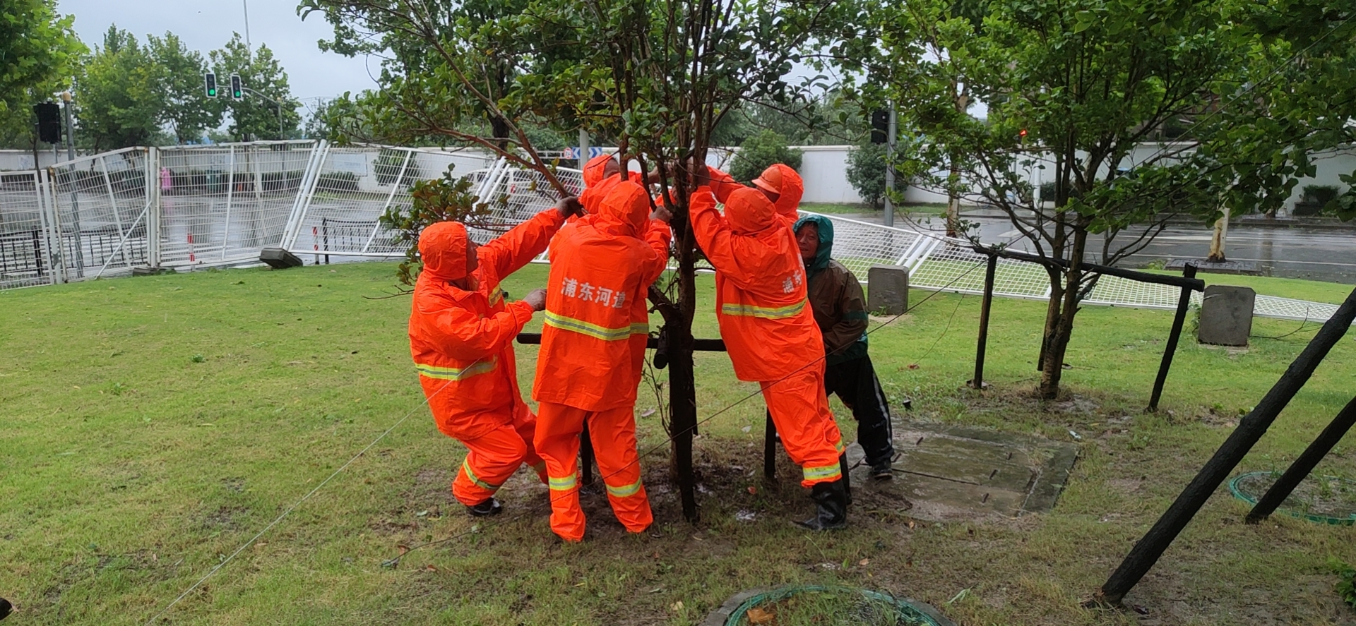 烟花来袭山东众志成城,烟花齐聚上海滩