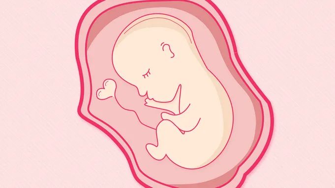 糟蹋子宫的六大禁忌,糟蹋子宫的五大禁忌