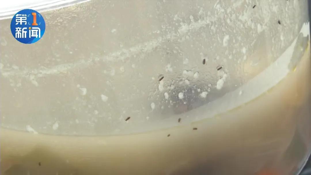 大超市买的香菇，一煮一锅虫！一查，这香菇都放了三年多了