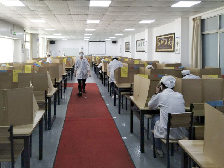 复工复产奋力冲刺,金大控股