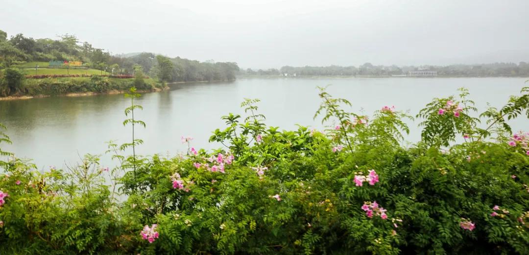 在大山深处幽静绝美的村落,深藏大山中的村落
