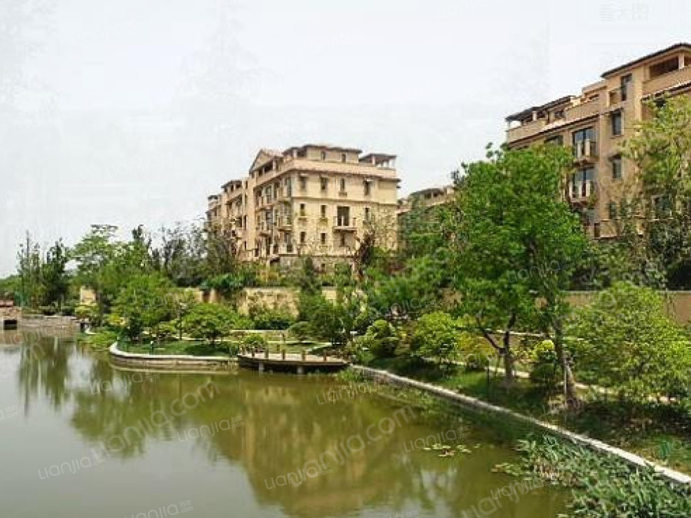 上海周边买房,上海买房视频