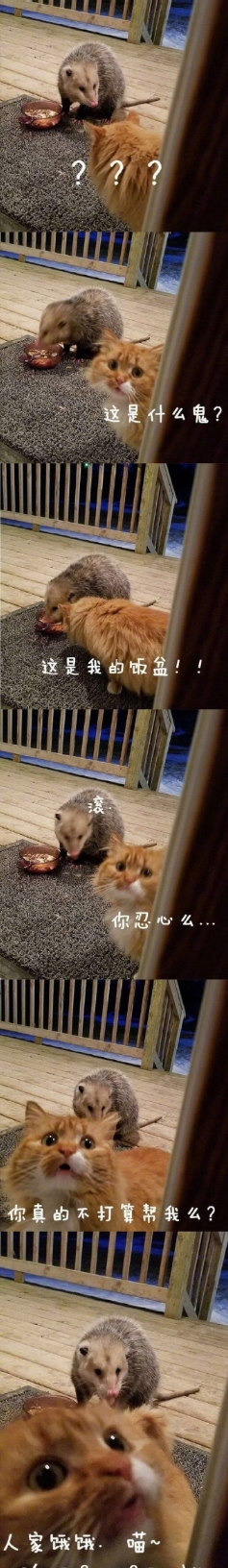 喝醉了第二天醒来精神很好,喝醉酒了第二天再喝一杯